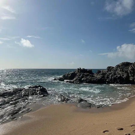 Pretty Garden Next To A Charming Apartment Lloret de Mar
